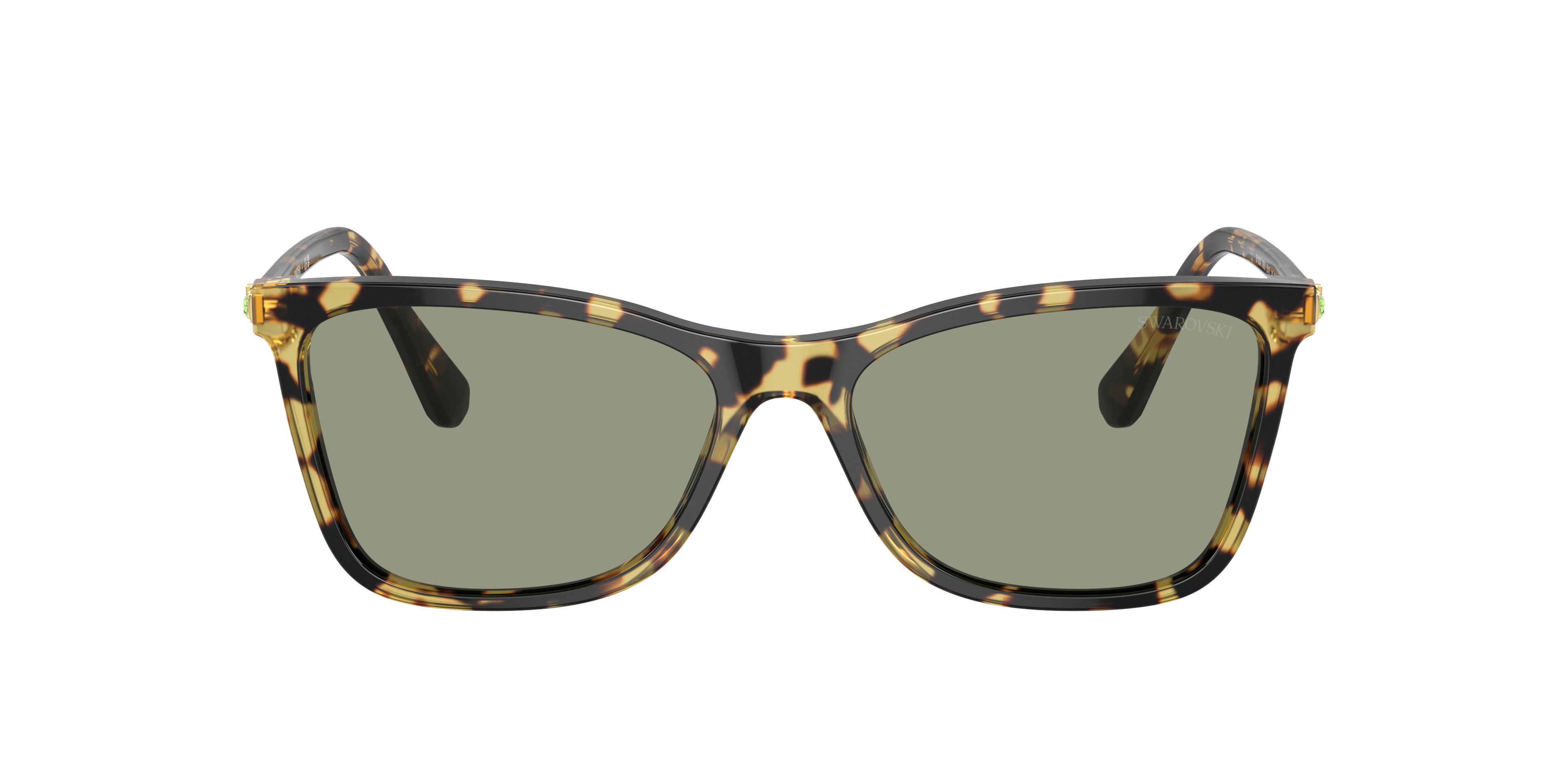 Swarovski SK6004 Sunglasses | LensCrafters