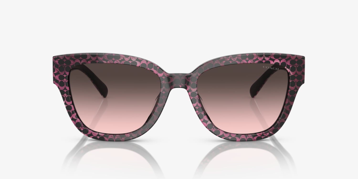 Coach HC8379U CL920 Sunglasses | LensCrafters