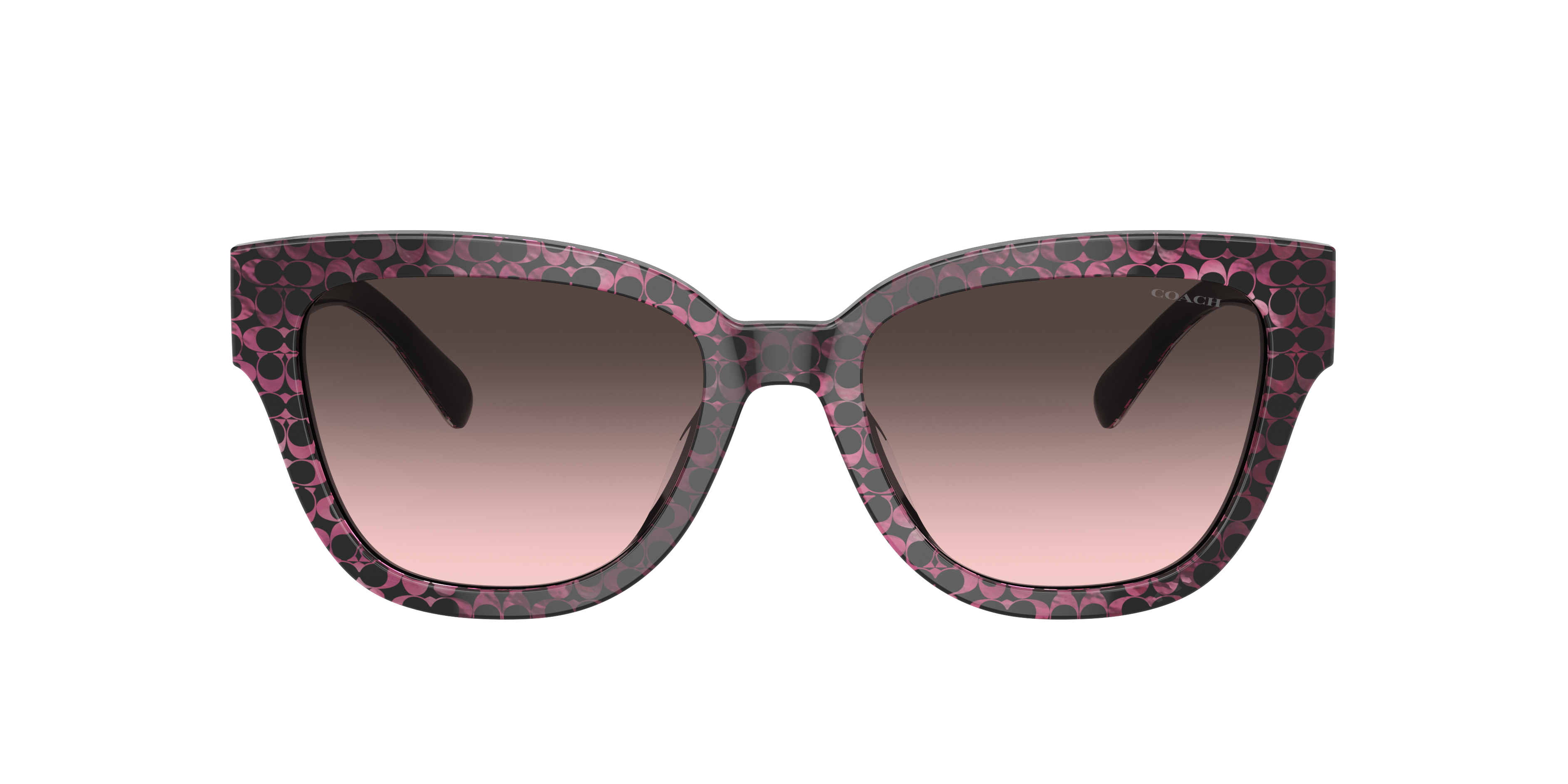Coach HC8379U CL920 Sunglasses | LensCrafters