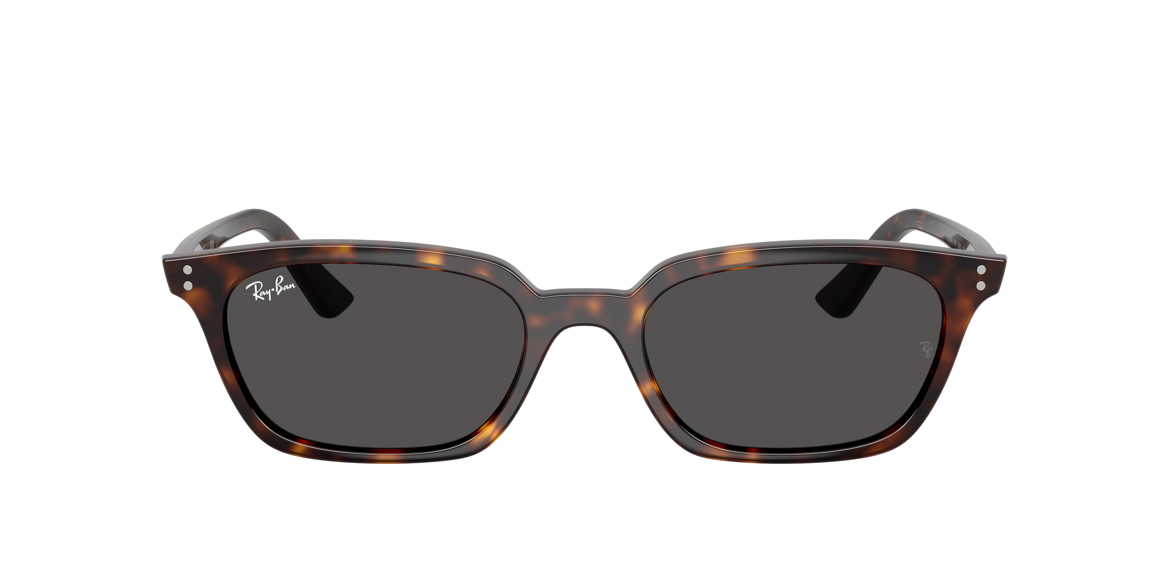 Ray-Ban RB4456 Zaya Bio-Based Sunglasses | LensCrafters