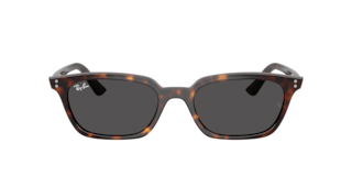 Ray-Ban ZAYA BIO-BASEDスクエア サングラス ZAYA BIO-BASED Sunglasses in Black and Dark Grey Polar