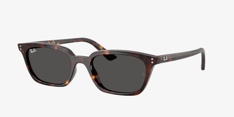 Ray-Ban RB4398 Erik Sunglasses | LensCrafters