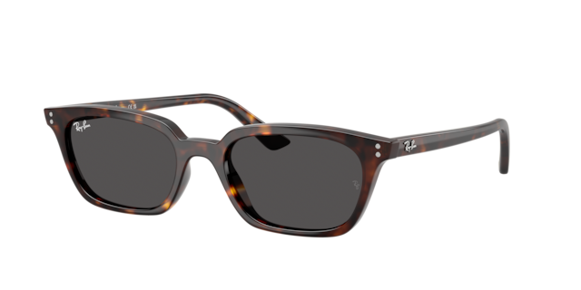 Ray-Ban L1001 サングラス ブラウン 楽天市場】レイバン サングラス RB2180F 616613 51 アジアン