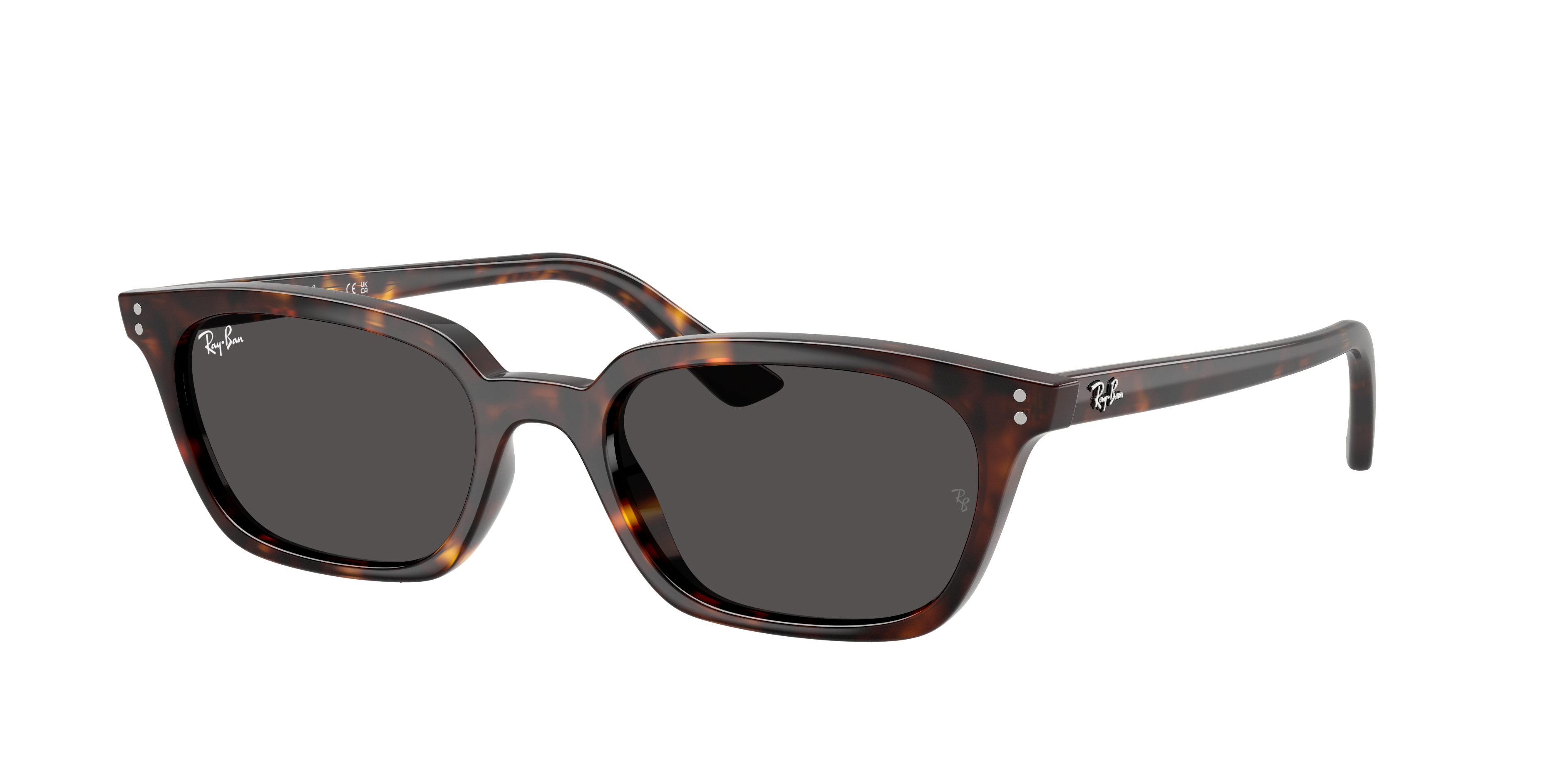 Ray-Ban RB4456 Zaya Bio-Based Sunglasses | LensCrafters