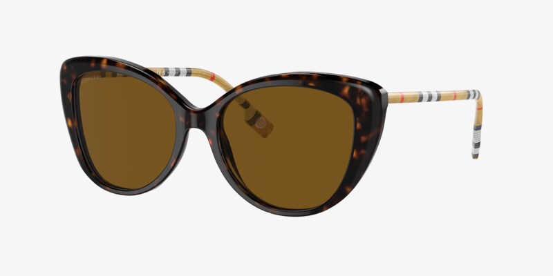 Burberry BE4216 Sunglasses in Brown/Brown Burberry BE 4216 Plastic Womens Cat-Eye Polarized Sunglasses  main image 2
