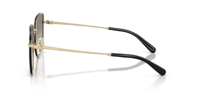 Coach Woman Shiny Light Gold, Black