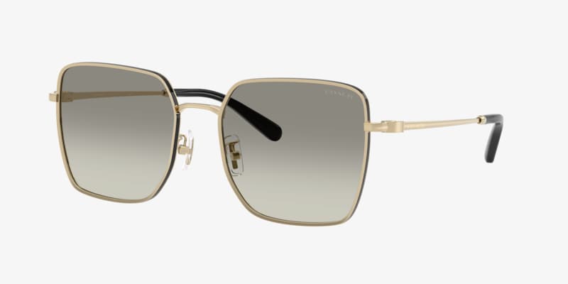 Michael Kors MK1160 Biarritz Sunglasses | LensCrafters