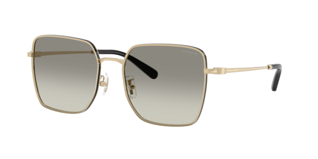Coach Woman Shiny Light Gold, Black