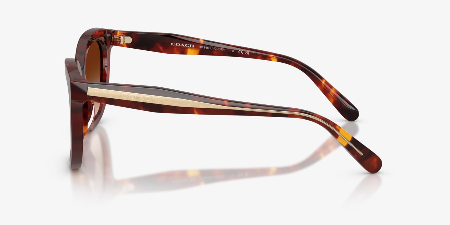 Coach HC8453U CDP53 Sunglasses | LensCrafters