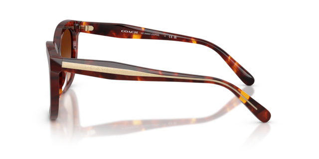 Coach Woman Walnut Tortoise