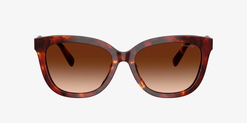 Coach HC8408U CW195 Sunglasses | LensCrafters