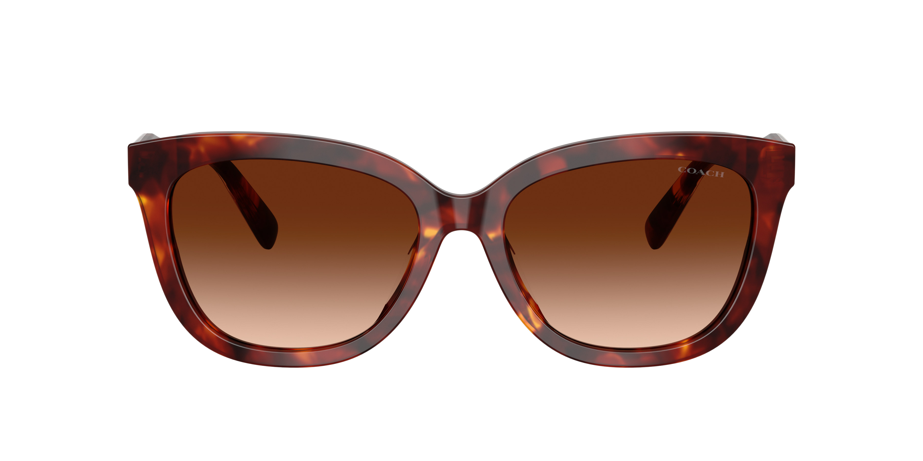 Coach HC8453U CDP53 Sunglasses | LensCrafters