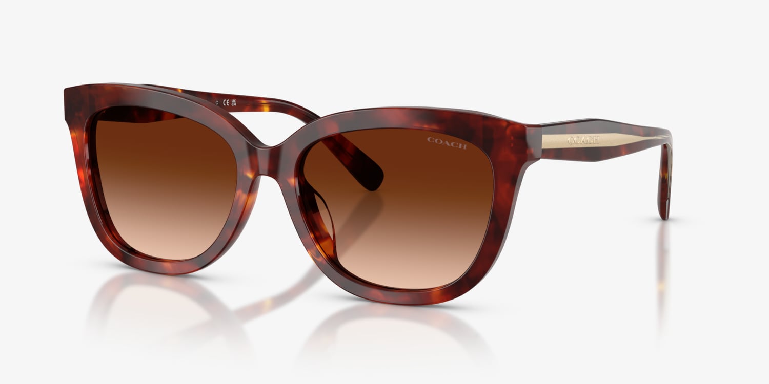 Coach HC8453U CDP53 Sunglasses | LensCrafters