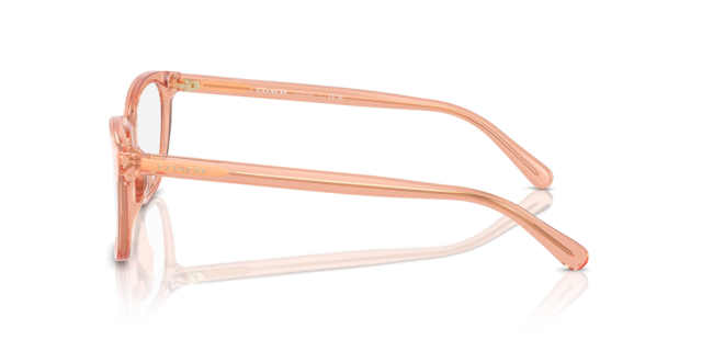 Coach Woman Transparent Saddle