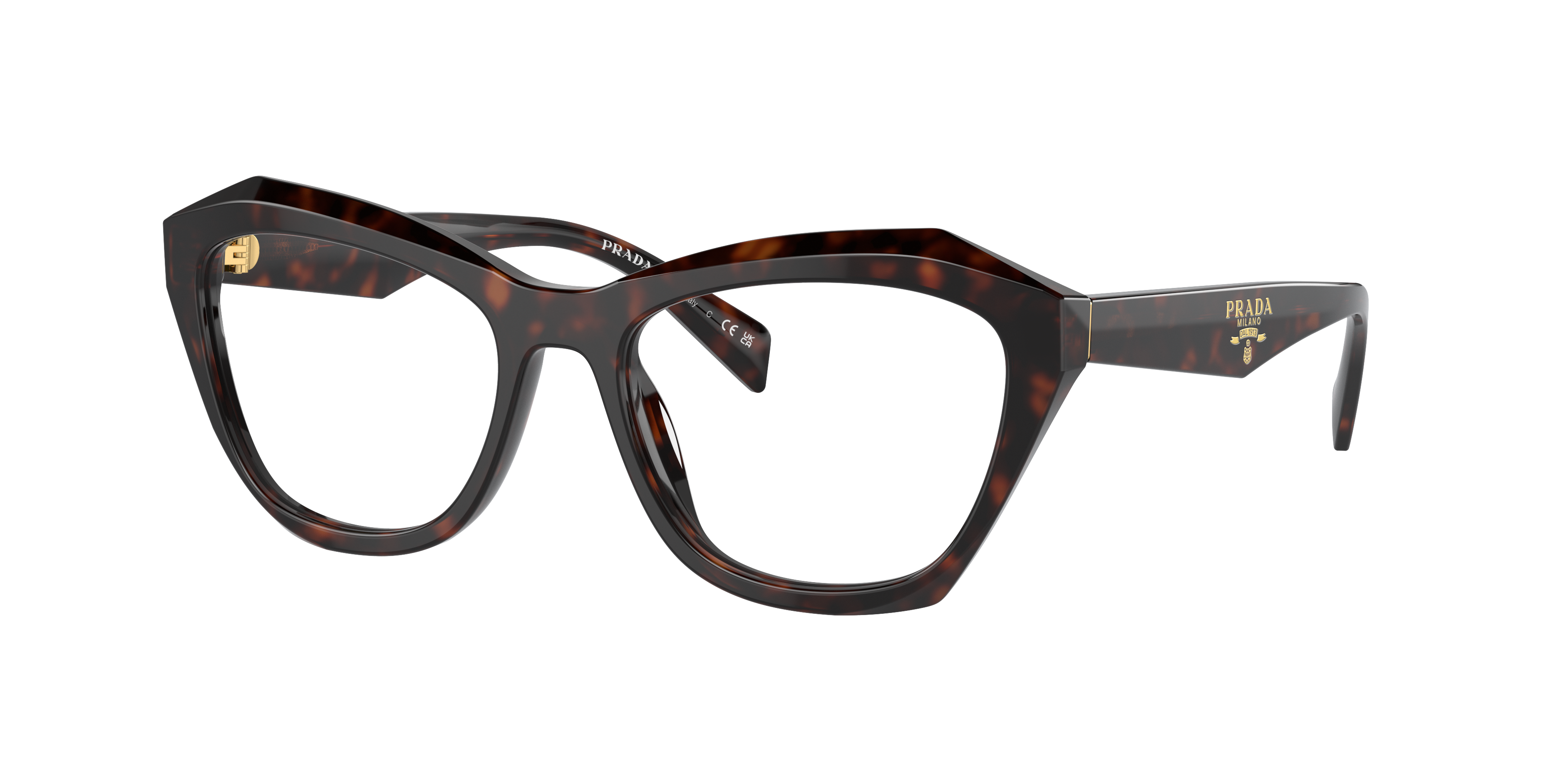 Prada Woman Root Tortoise 321$