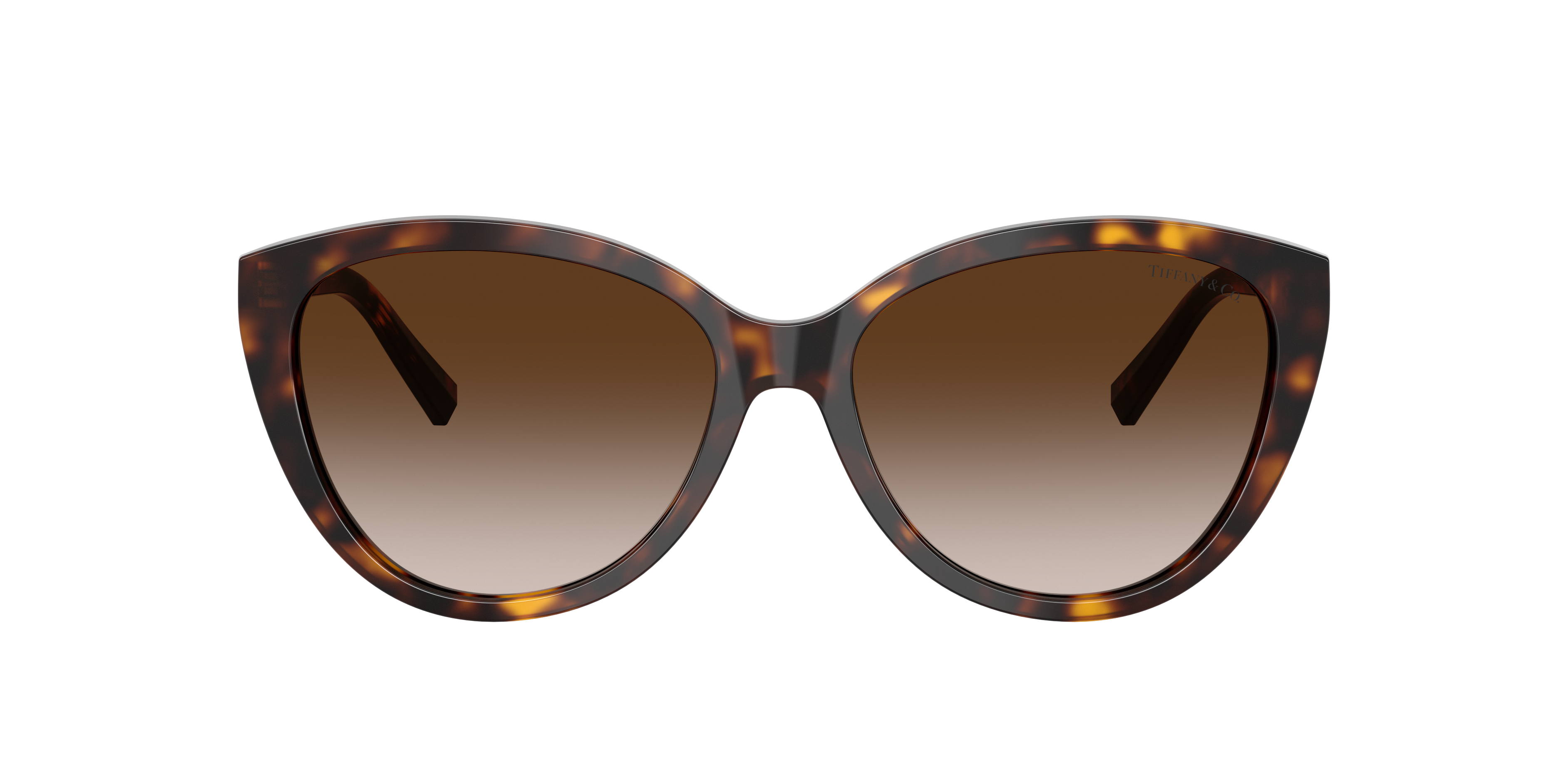 Tiffany TF4251 Sunglasses | LensCrafters