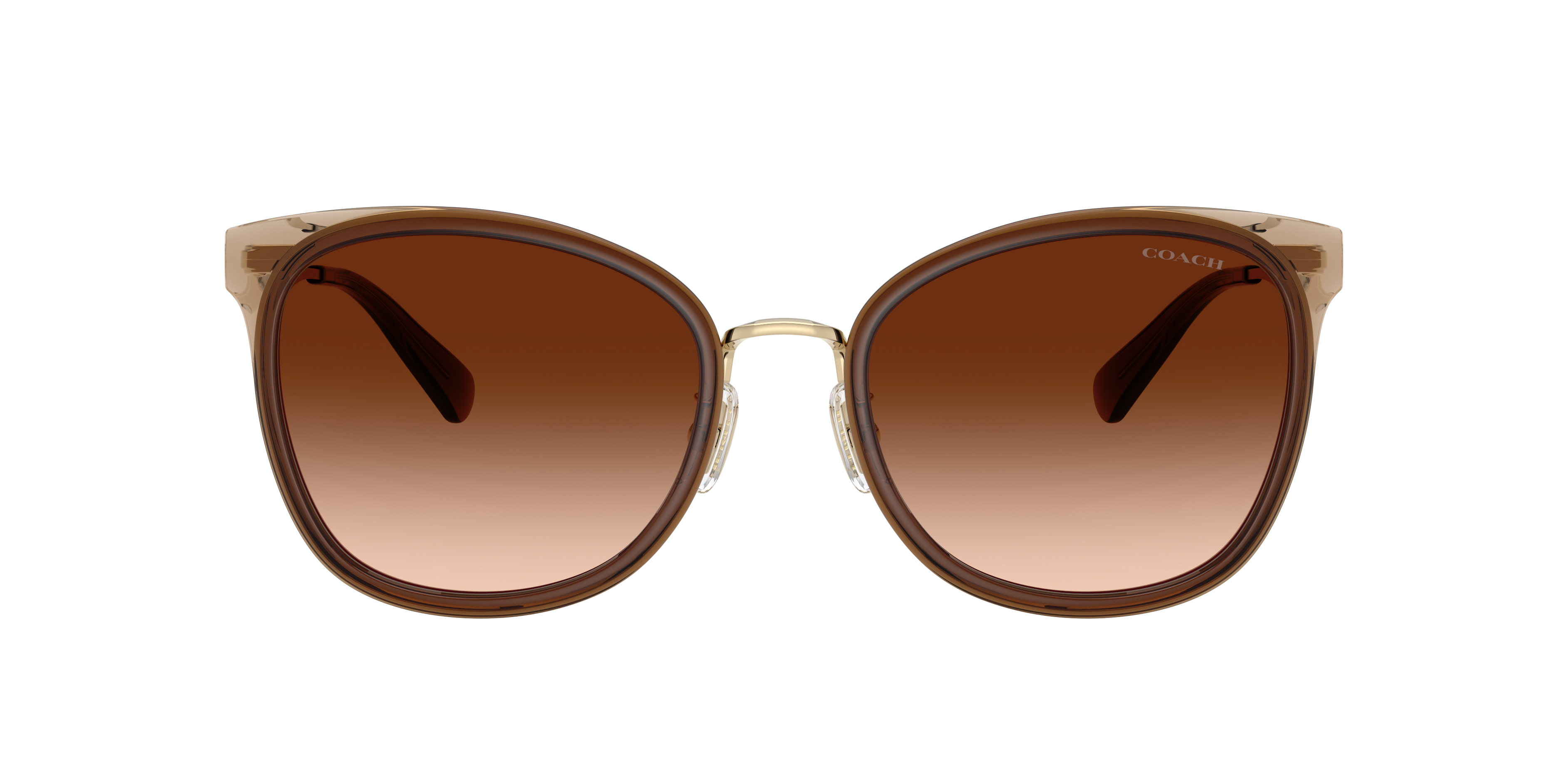 Coach HC7170 CW185 Sunglasses | LensCrafters
