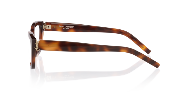 Saint Laurent Woman Tortoise Light