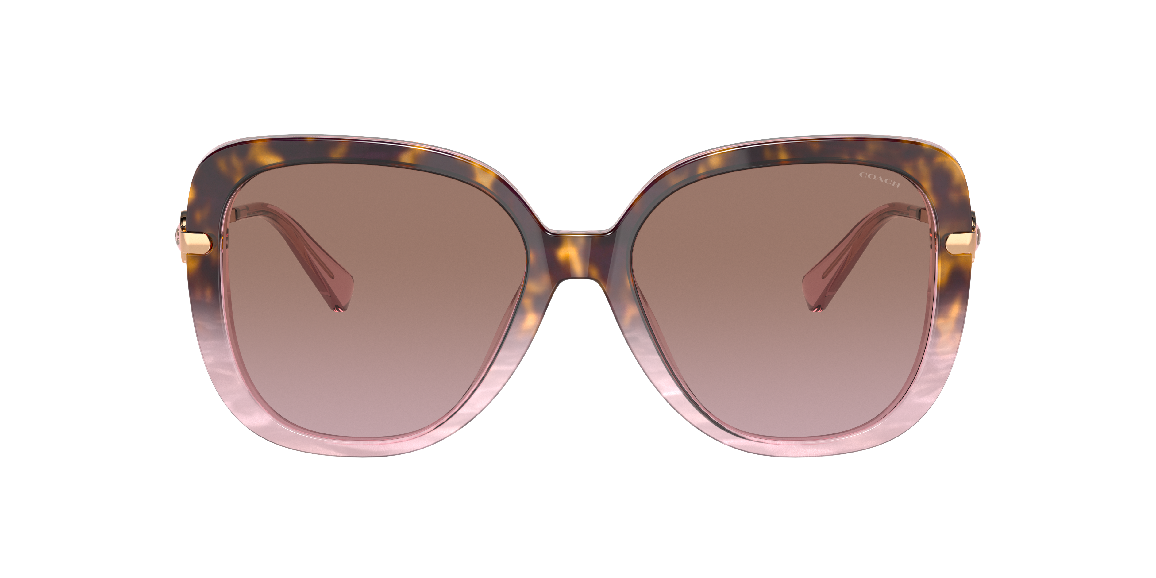 Coach HC8320 C6180 Sunglasses | LensCrafters