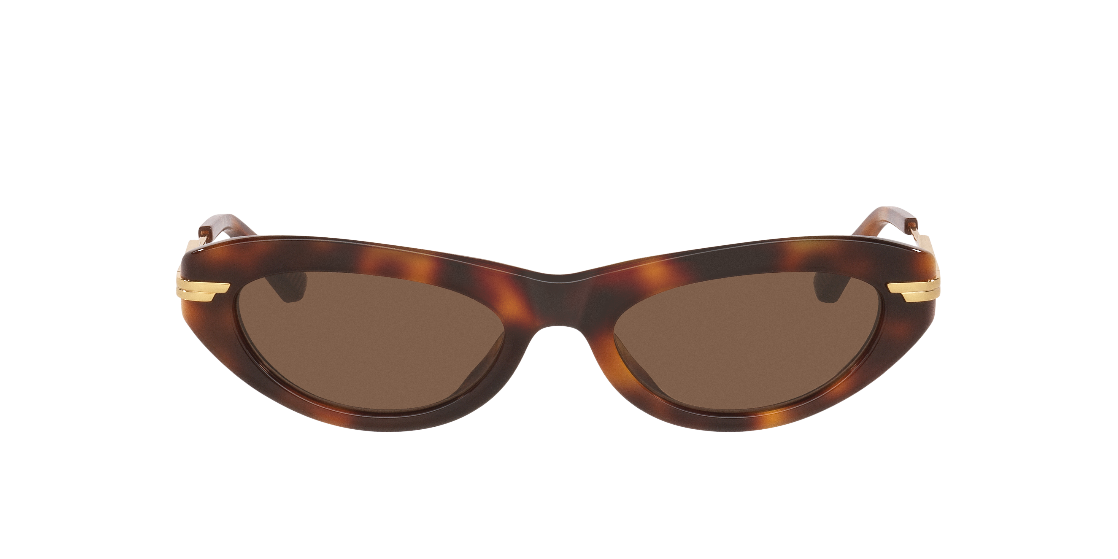 Bottega Veneta BV1368S Sunglasses | LensCrafters