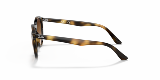 Ray-Ban_Lenses Unisex