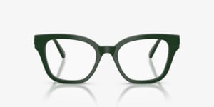 Swarovski SK2048 Eyeglasses | LensCrafters