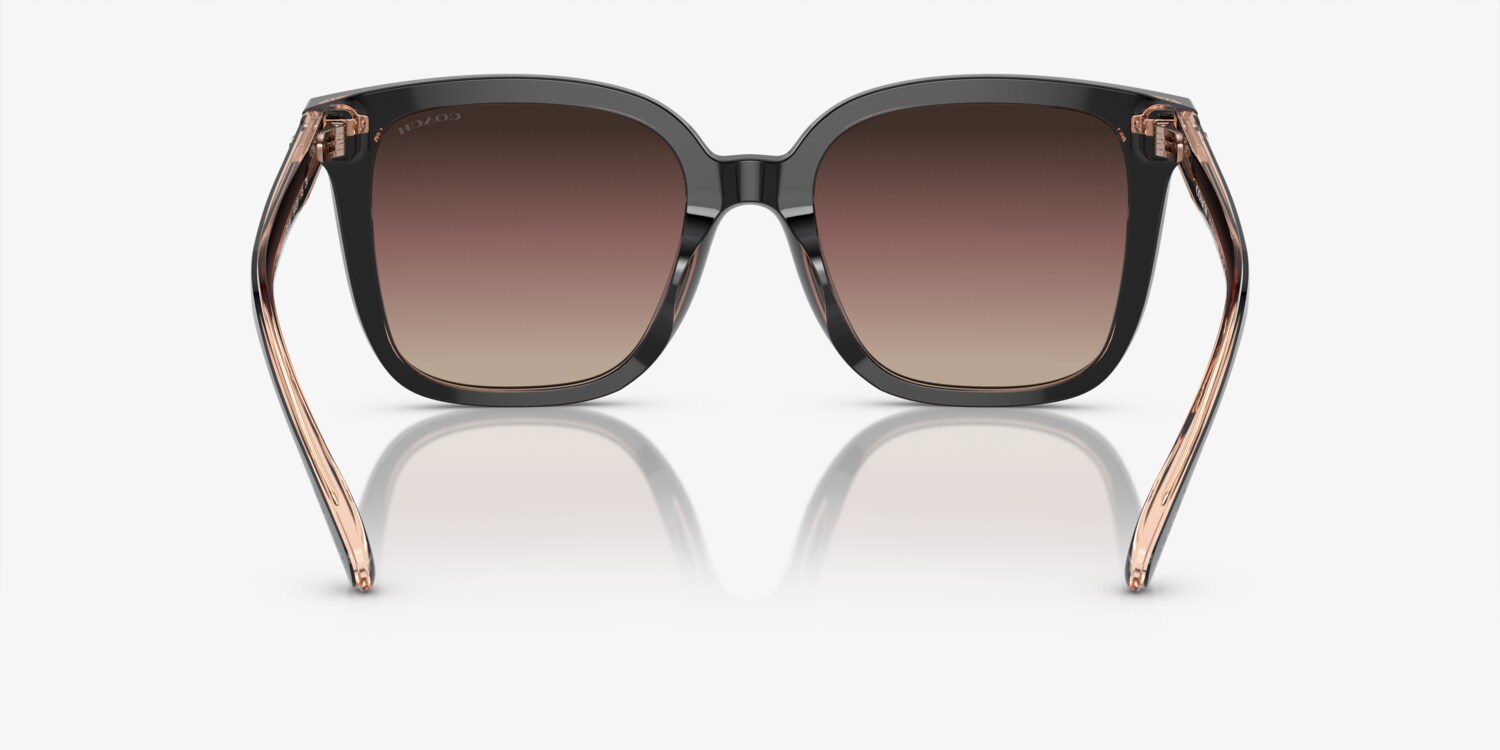 Coach HC8381U CL918 Sunglasses | LensCrafters