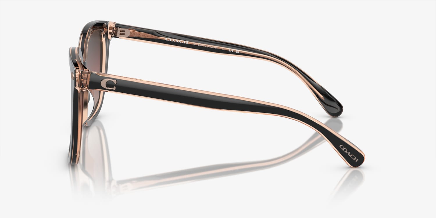 Coach HC8381U CL918 Sunglasses | LensCrafters