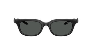Diesel DL3013U Sunglasses | LensCrafters