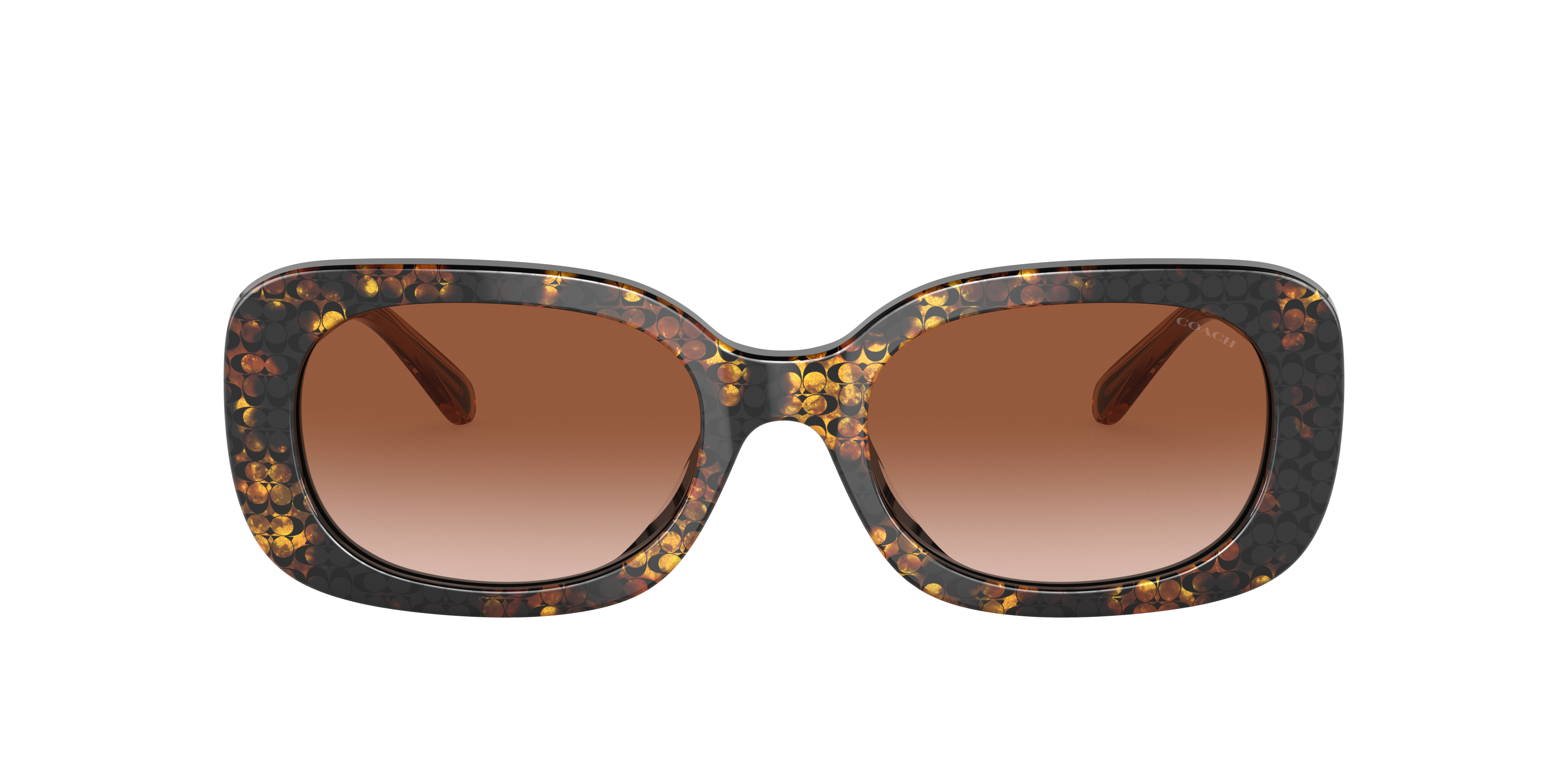 Coach HC8358U CD471 Sunglasses | LensCrafters