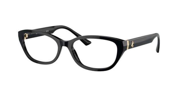 Jimmy Choo JC3015 Eyeglasses | LensCrafters