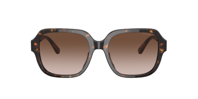 Coach Woman Dark Tortoise