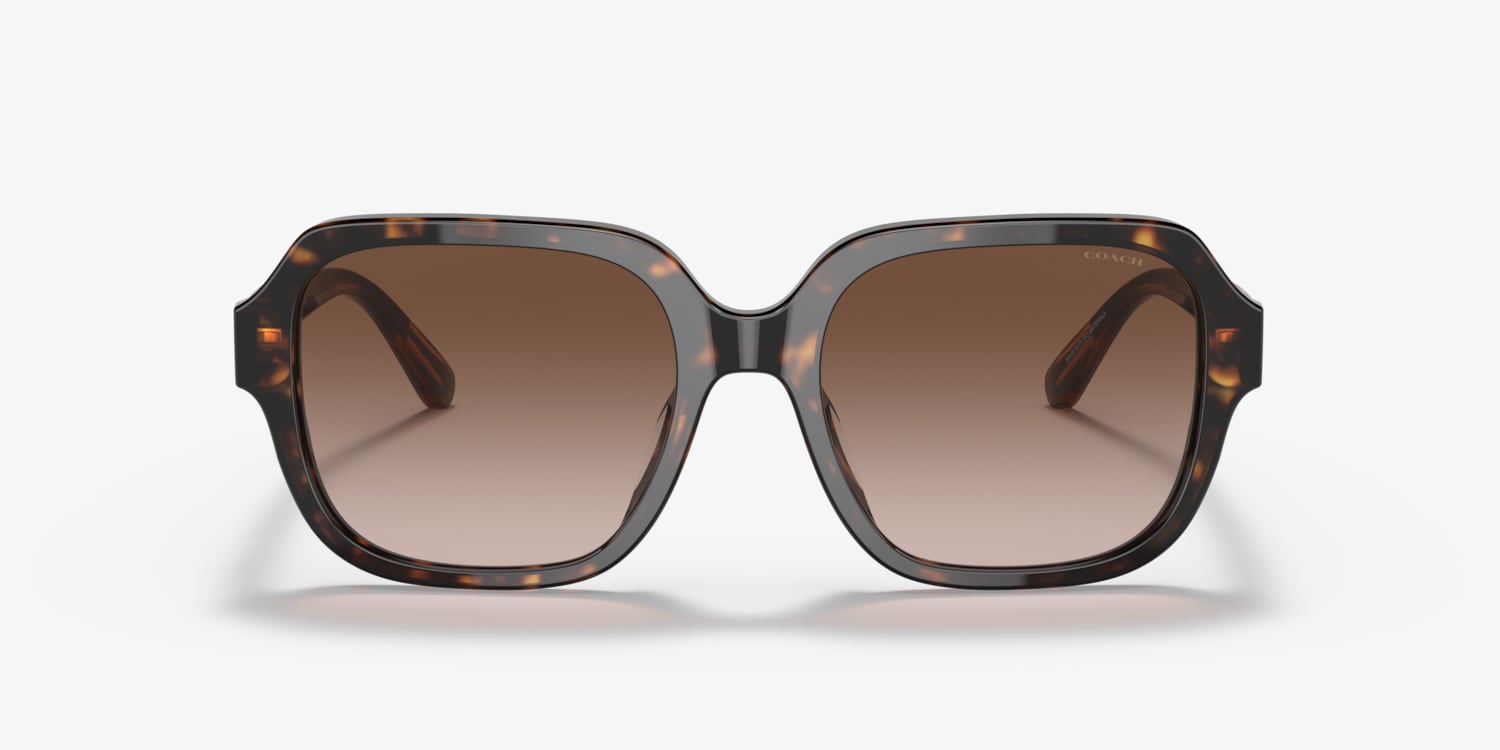 小物 174.COACH SUNGLASSES DARK OLIVE Coach 0HC8374U Sunglasses in Tortoise | Target Optical