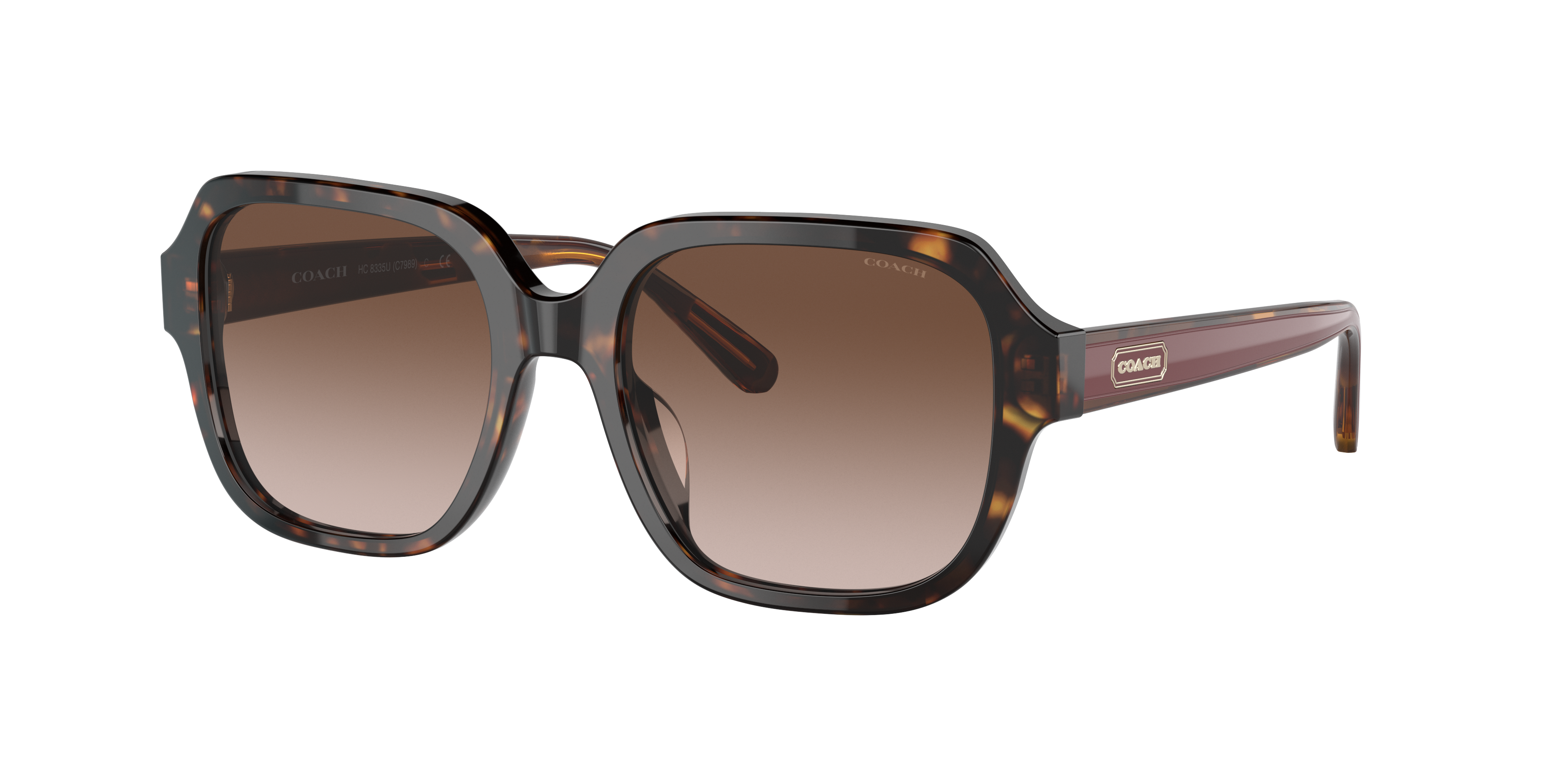 Coach HC8116 L087 Blair Sunglasses | LensCrafters