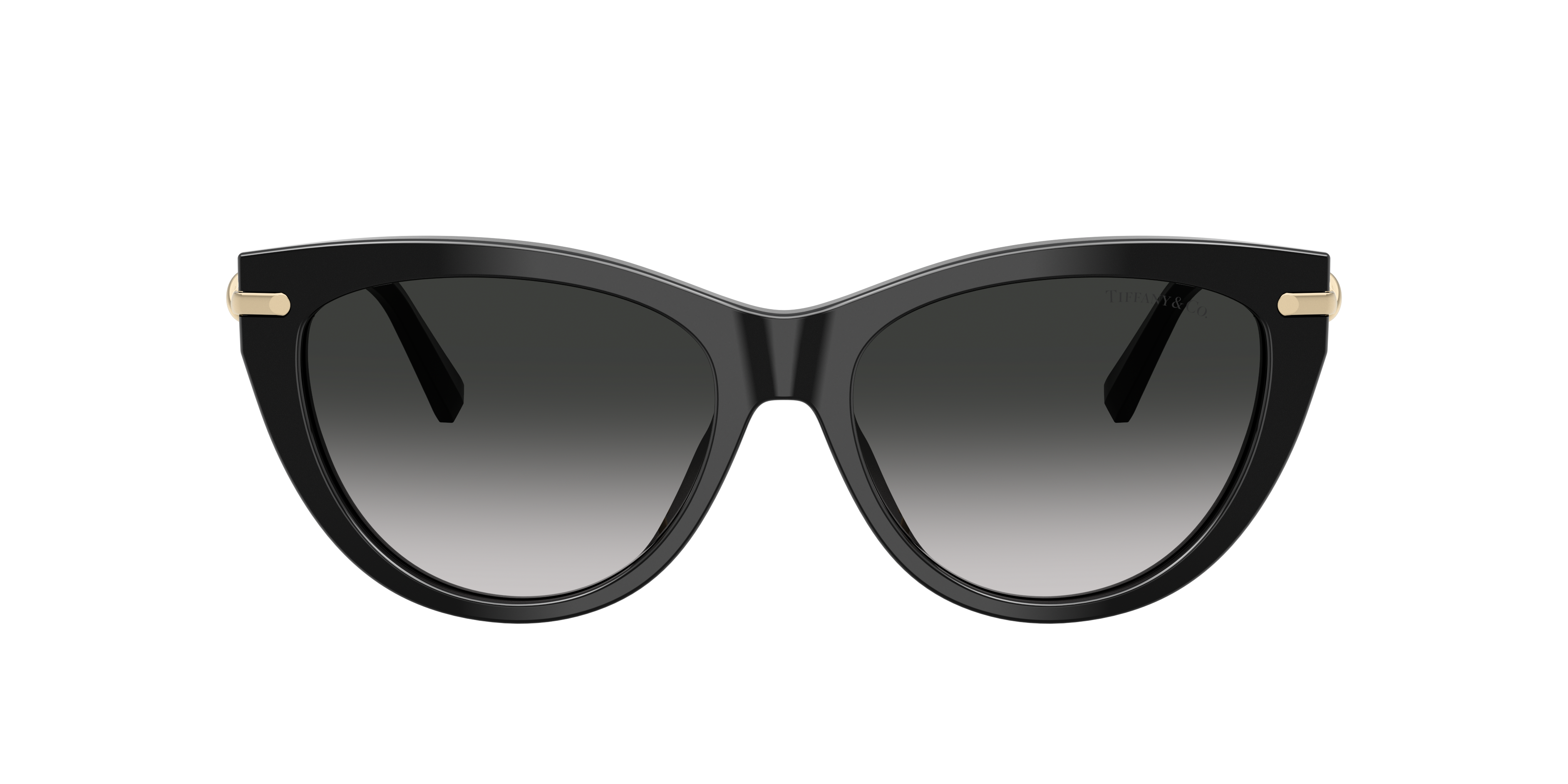 Tiffany TF4253 Sunglasses | LensCrafters