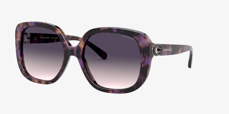 Coach HC8168 L156 Sunglasses | LensCrafters