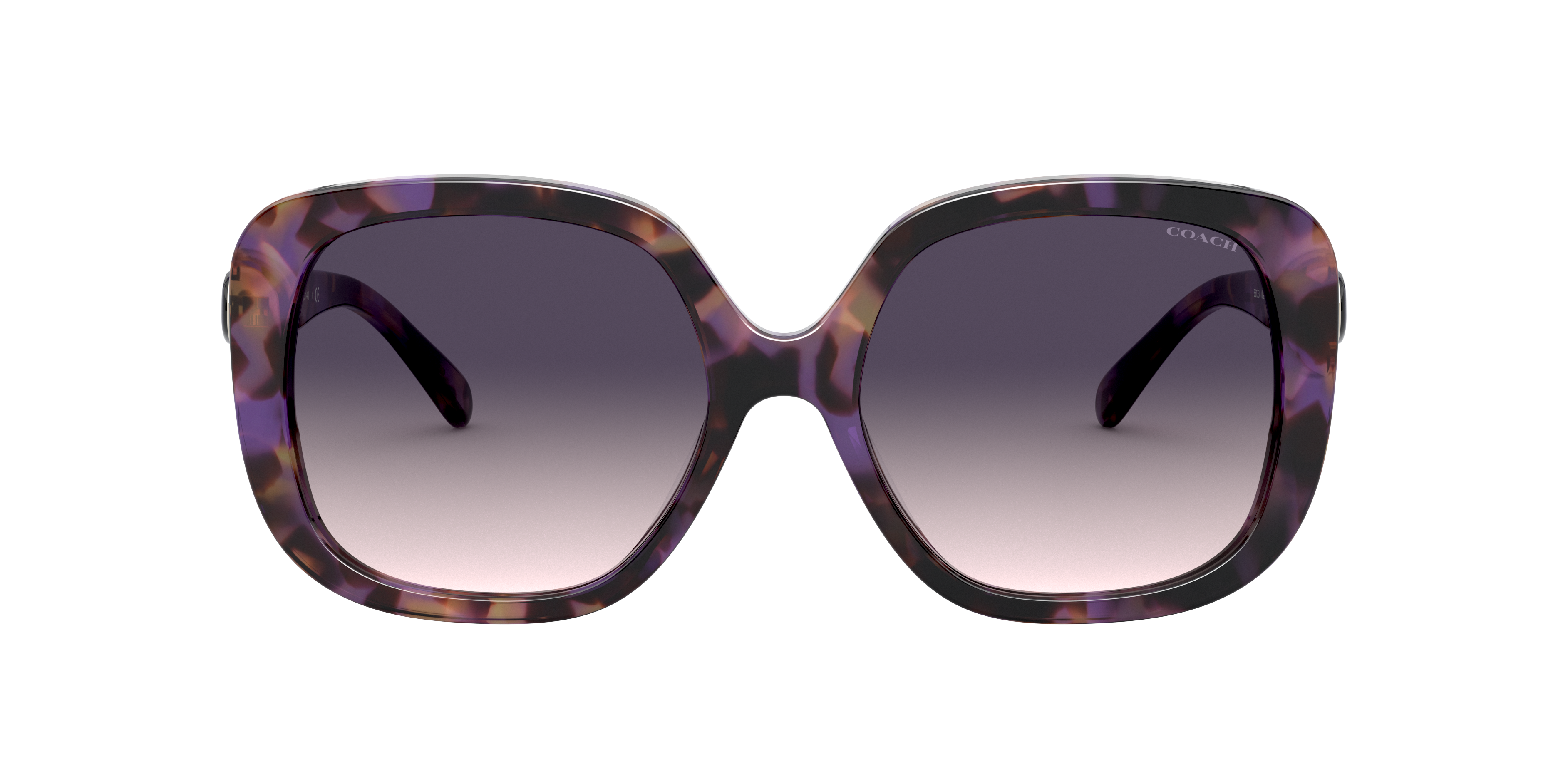 Coach HC8292 L1144 Sunglasses | LensCrafters