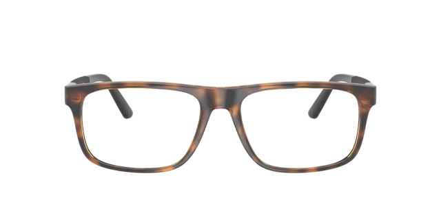 Polo Ralph Lauren Man Shiny Dark Havana