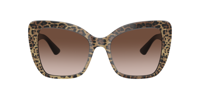 Dolce&Gabbana Woman Leo Brown On Black