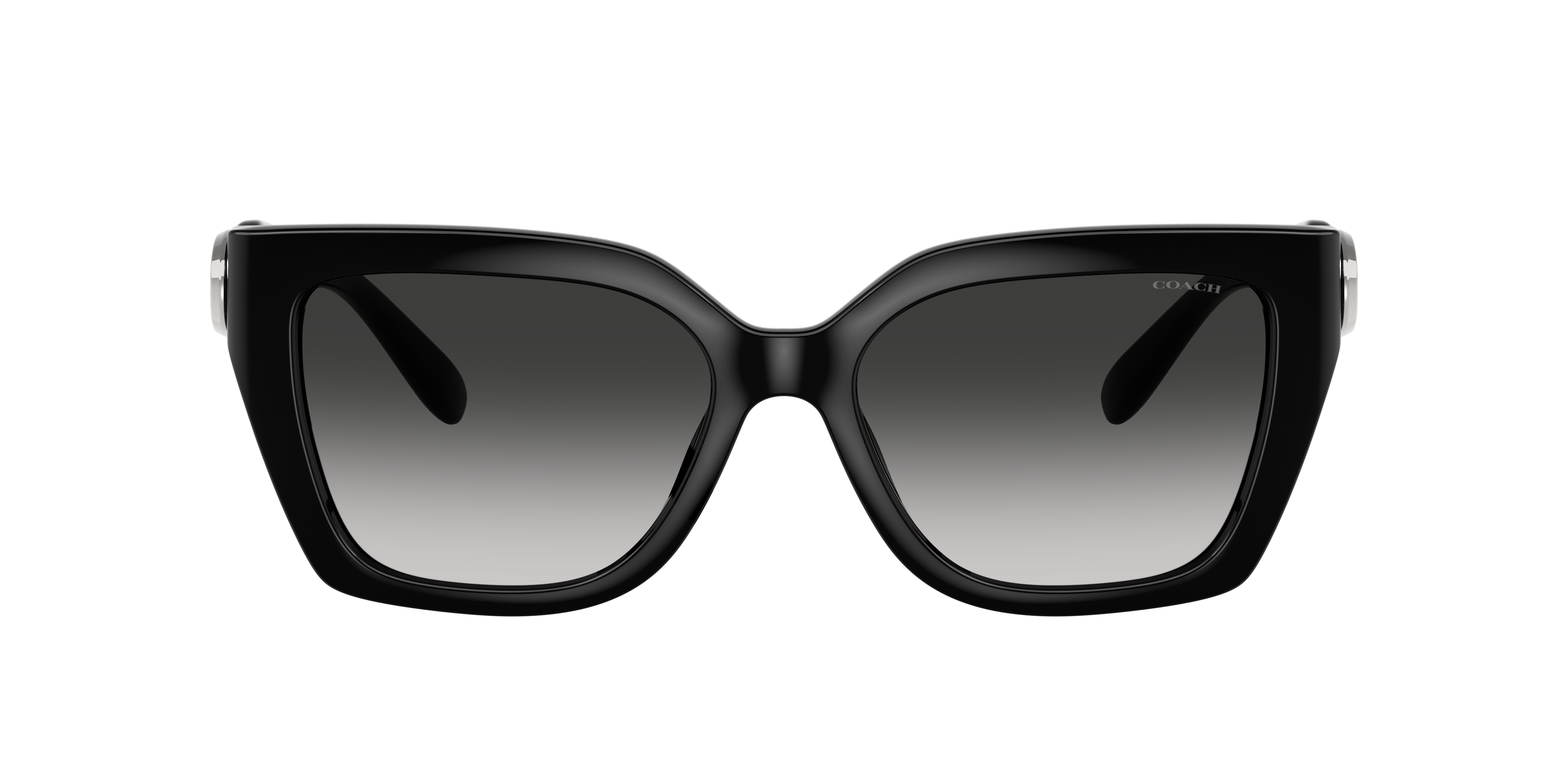 Coach HC8408U CW195 Sunglasses | LensCrafters