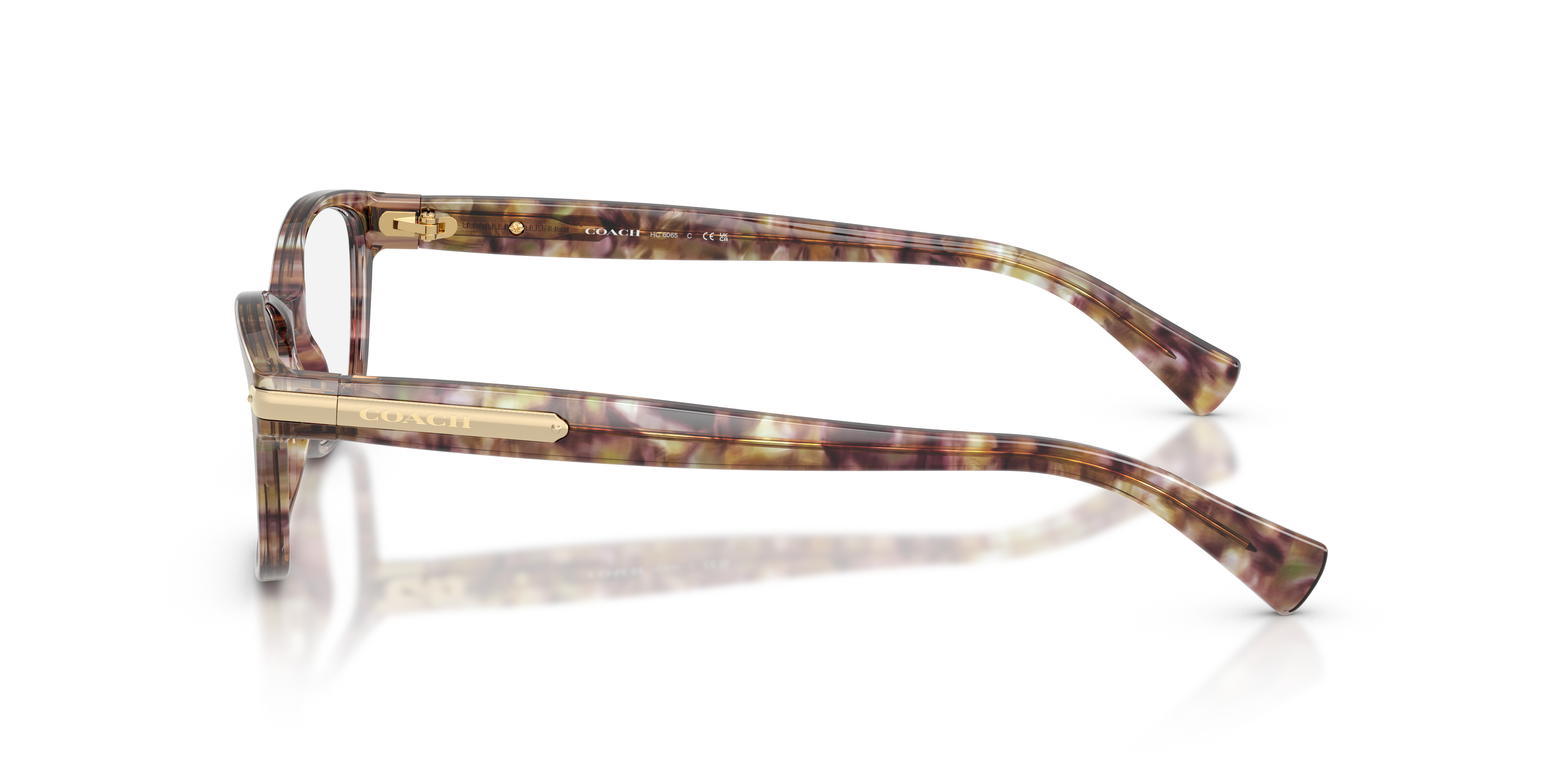 Coach HC6065 Eyeglasses | LensCrafters