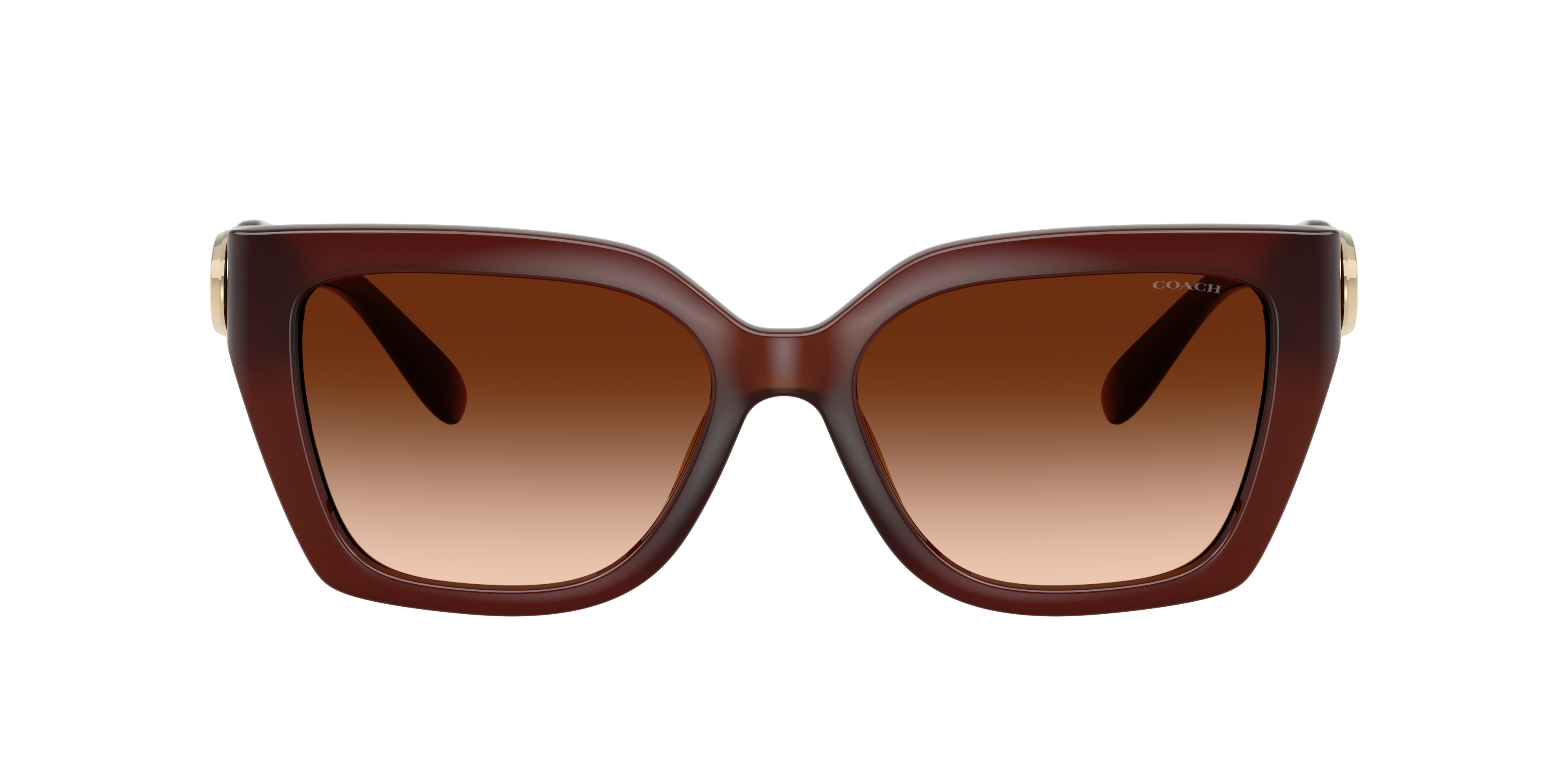 小物 174.COACH SUNGLASSES DARK OLIVE 174.COACH SUNGLASSES DARK OLIVE