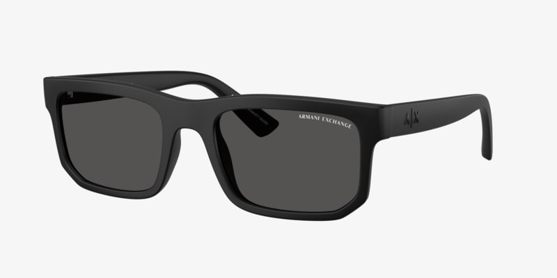 Emporio Armani EA4208 Sunglasses | LensCrafters