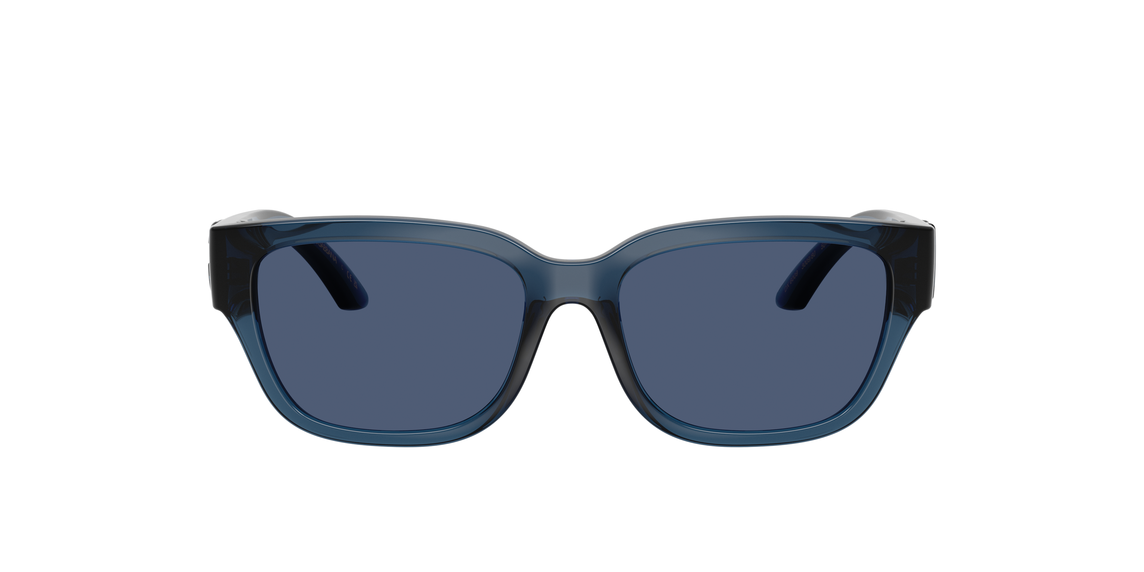 Dolce & Gabbana DX6009 Sunglasses | LensCrafters