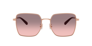 Coach HC7184D CBZ51 Sunglasses | LensCrafters