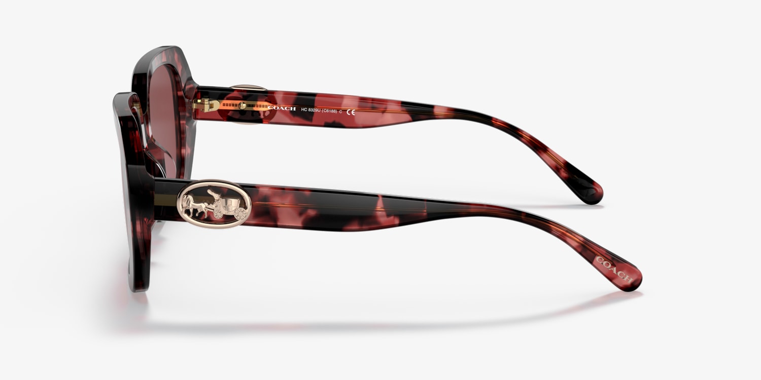 Coach HC8329U C6188 Sunglasses | LensCrafters