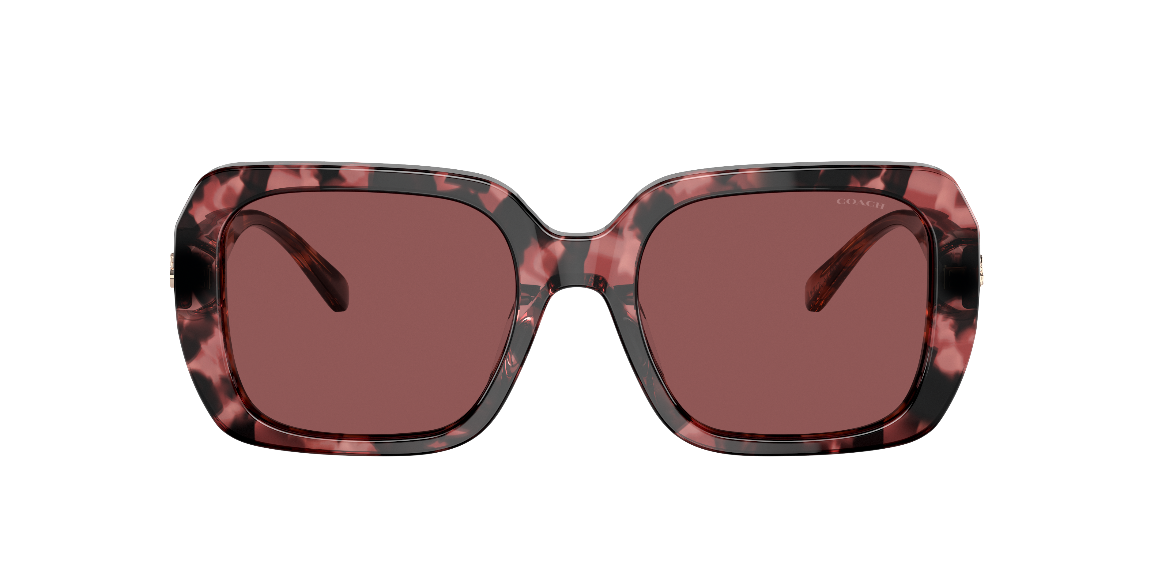 Coach HC8329U C6188 Sunglasses | LensCrafters