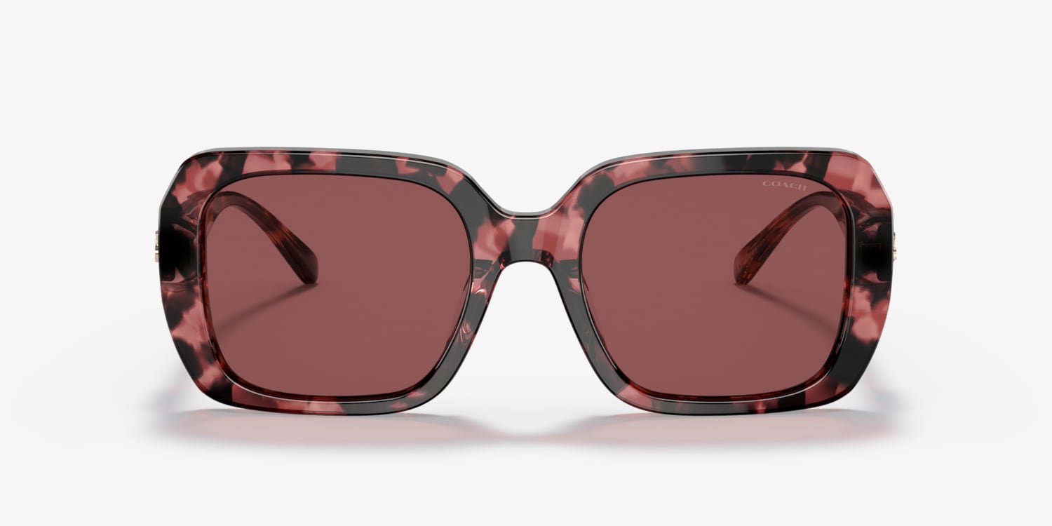 COACH　ディスプレイ Coach HC8329U C6188 Sunglasses | LensCrafters