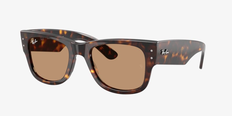 Ray-Ban Wayfarer change collection サングラス Ray-Ban RB2140 Original Wayfarer Change Sunglasses