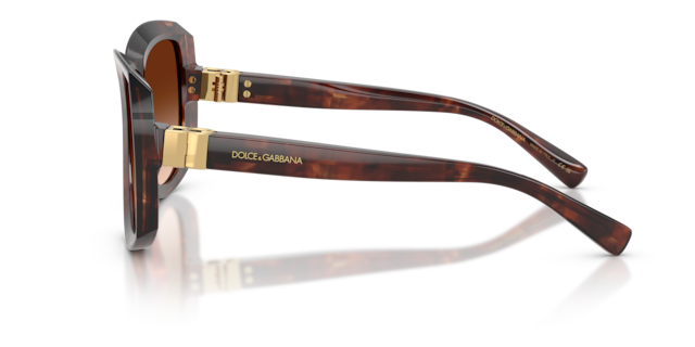 Dolce&Gabbana Woman Dark Red Havana
